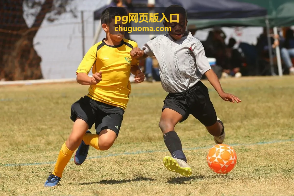 pg网页版入口在浏览器中打开后的页面整体布局示意